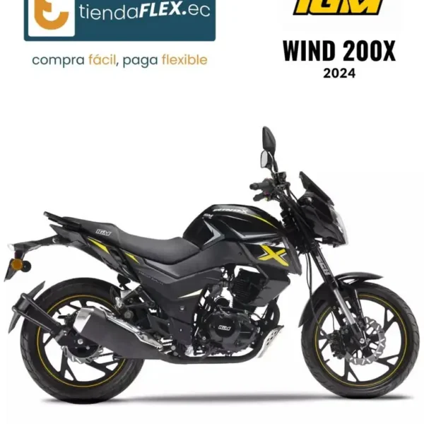 WIND 200X - 2024 IGM