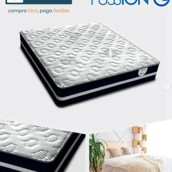 Fussion - Chaide & Chaide
