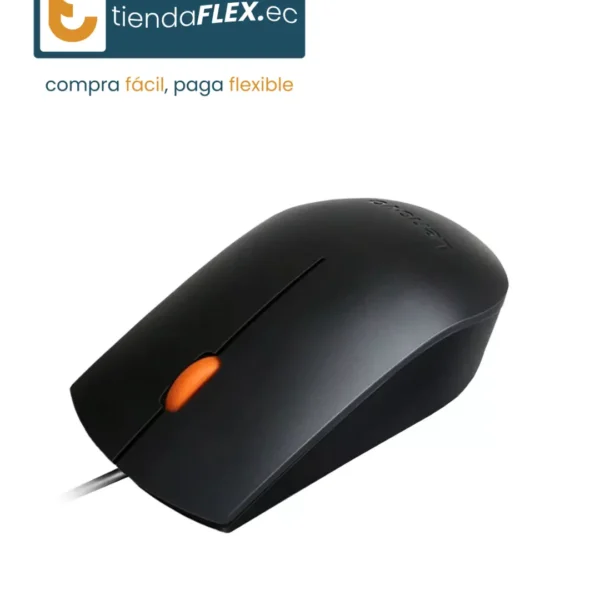 MOUSE USB 300