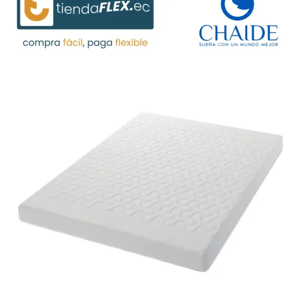 FLEX 21