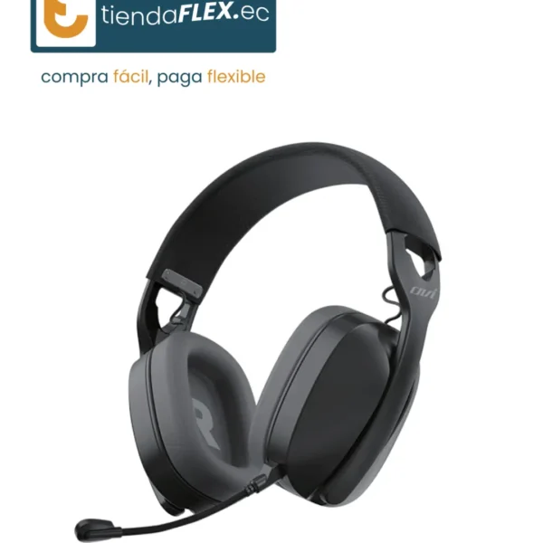 AUDÍFONOS HP-858W