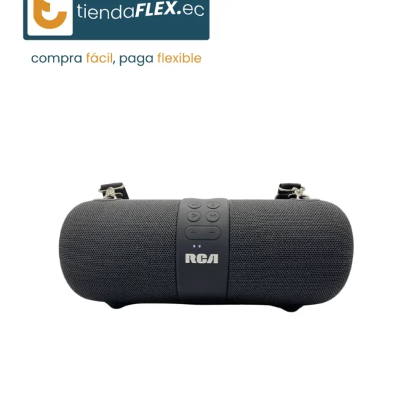 53HSRCI - PARLANTE SHOW BOX RCA