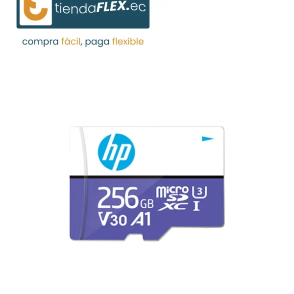 MICRO SD A1 V30 256 GB