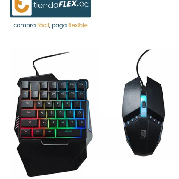 198I - COMBO TECLADO Y MOUSE